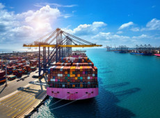 Tarifaço de Trump muda exportações e redefine mercados do Brasil