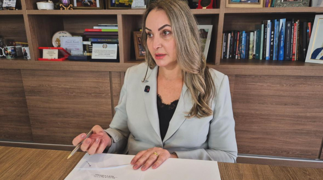 Deputada federal Daniela Reinehr (PL)