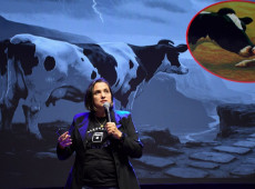 Doutora Marina Danés, professora da Universidade Federal de Lavras (UFLA) e especialista em nutrição de ruminantes. 