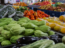 O estado ocupa o topo do ranking de Segurança Alimentar no país, apresentando uma proporção de 90,6% de domicílios nessa condição