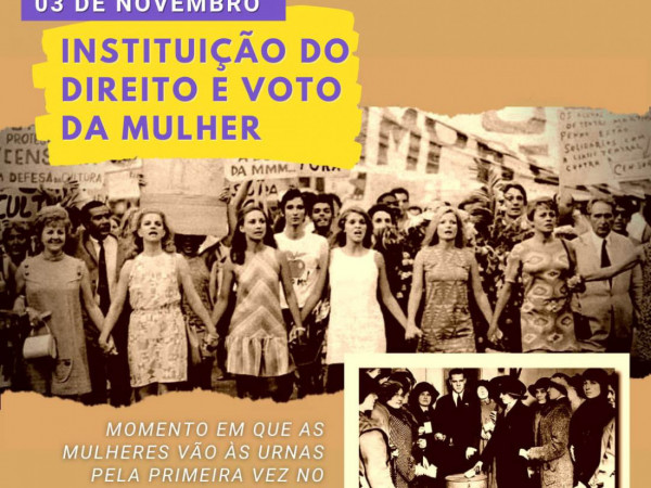 3 de Novembro celebra o Dia da Instituição do Direito ao Voto da Mulher no Brasil