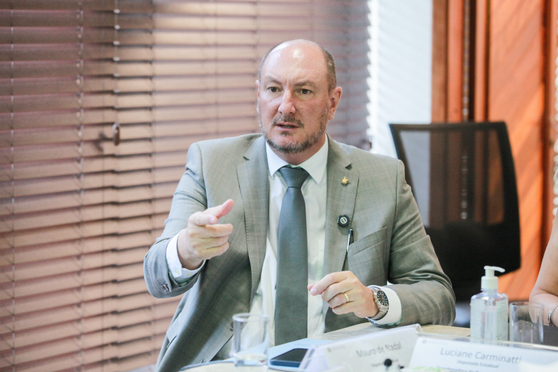 Deputado Mauro De Nadal