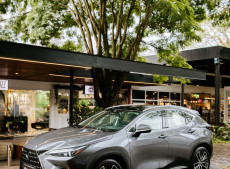 As novas concessionárias ampliam o acesso aos produtos e serviços da marca Lexus em Santa Catarina