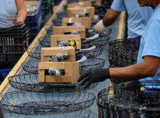 O desempenho positivo acompanha a alta da economia catarinense que, apesar de desafios internos e externos, acumula uma das maiores elevações do país. 