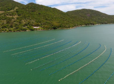 Evento aconece de 17 a 21, em modo híbrido. 