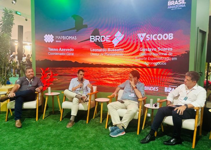 Busatto ressaltou que as relações com os diferentes parceiros multilaterais ajuda a manter a política de responsabilidade socioambiental 