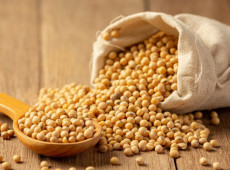 Safra de soja do Brasil em 2026 é projetada em 177,7 milhões de toneladas, mantendo recorde histórico apesar de chuvas irregulares