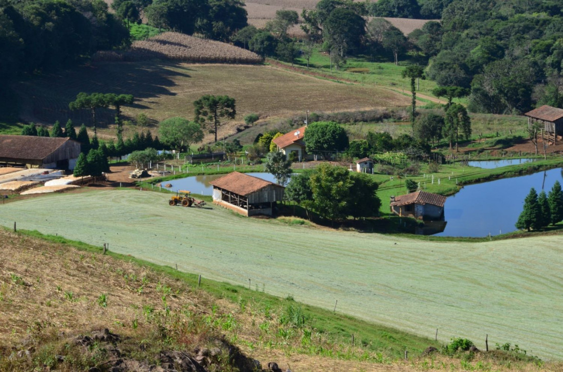 A operação financeira será viabilizada em parceria entre o Governo do Estado e o Banco Regional de Desenvolvimento do Extremo Sul (BRDE)