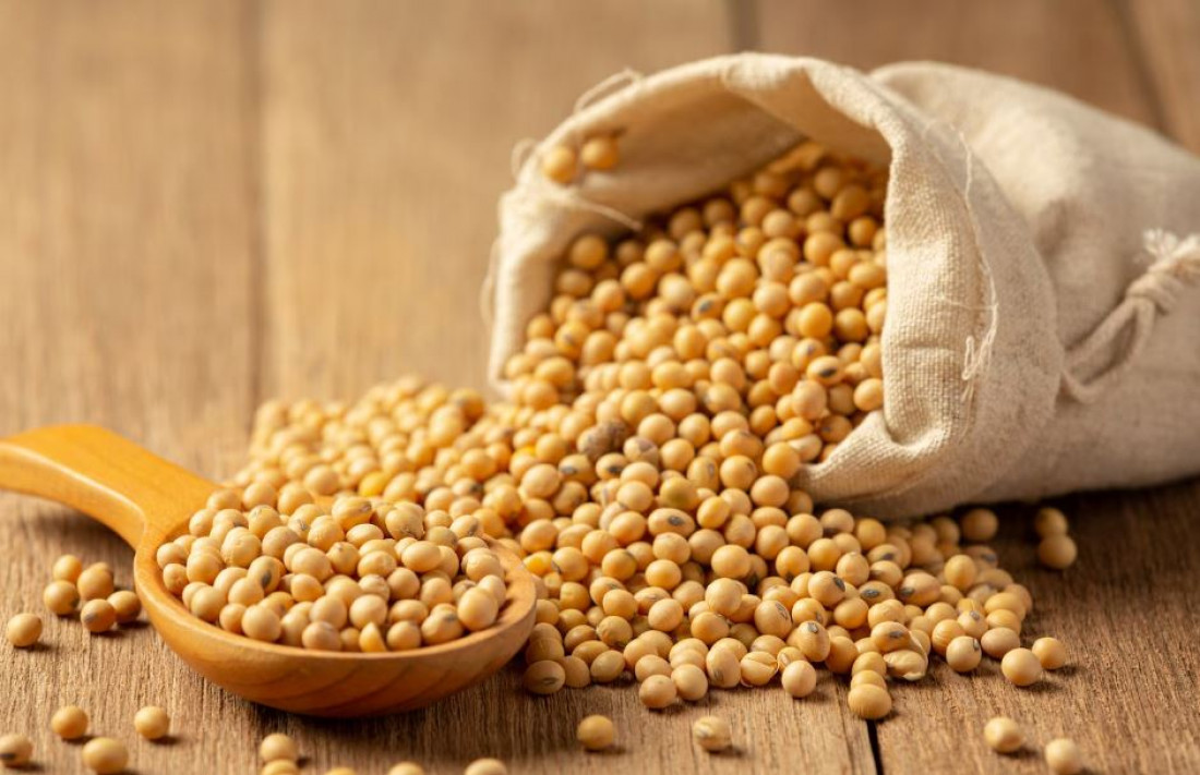 Safra de soja do Brasil em 2026 é projetada em 177,7 milhões de toneladas, mantendo recorde histórico apesar de chuvas irregulares