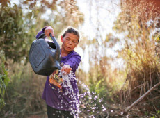 Governo do Brasil lança Marco de Sistemas Alimentares e Clima para as Políticas Públicas
