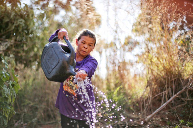 Governo do Brasil lança Marco de Sistemas Alimentares e Clima para as Políticas Públicas
