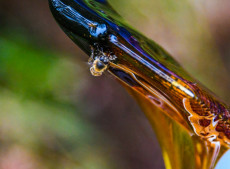 A abertura será no dia 26 de novembro, com acesso totalmente gratuito, credenciamento e lançamento da mostra de produtos.