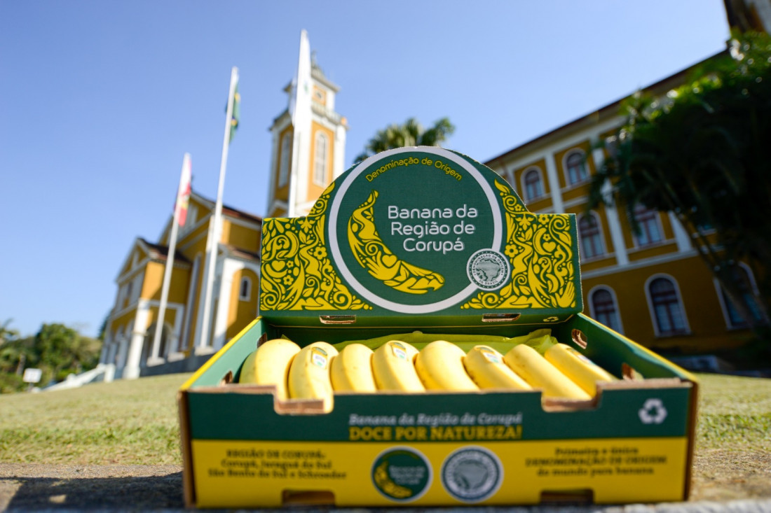 A abertura será no dia 26 de novembro, com acesso totalmente gratuito, credenciamento e lançamento da mostra de produtos.