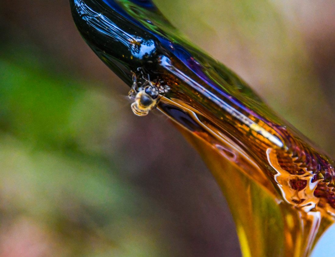 A abertura será no dia 26 de novembro, com acesso totalmente gratuito, credenciamento e lançamento da mostra de produtos.