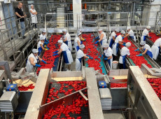  A programação, das 11h30 às 14h, é voltada para a imprensa. 