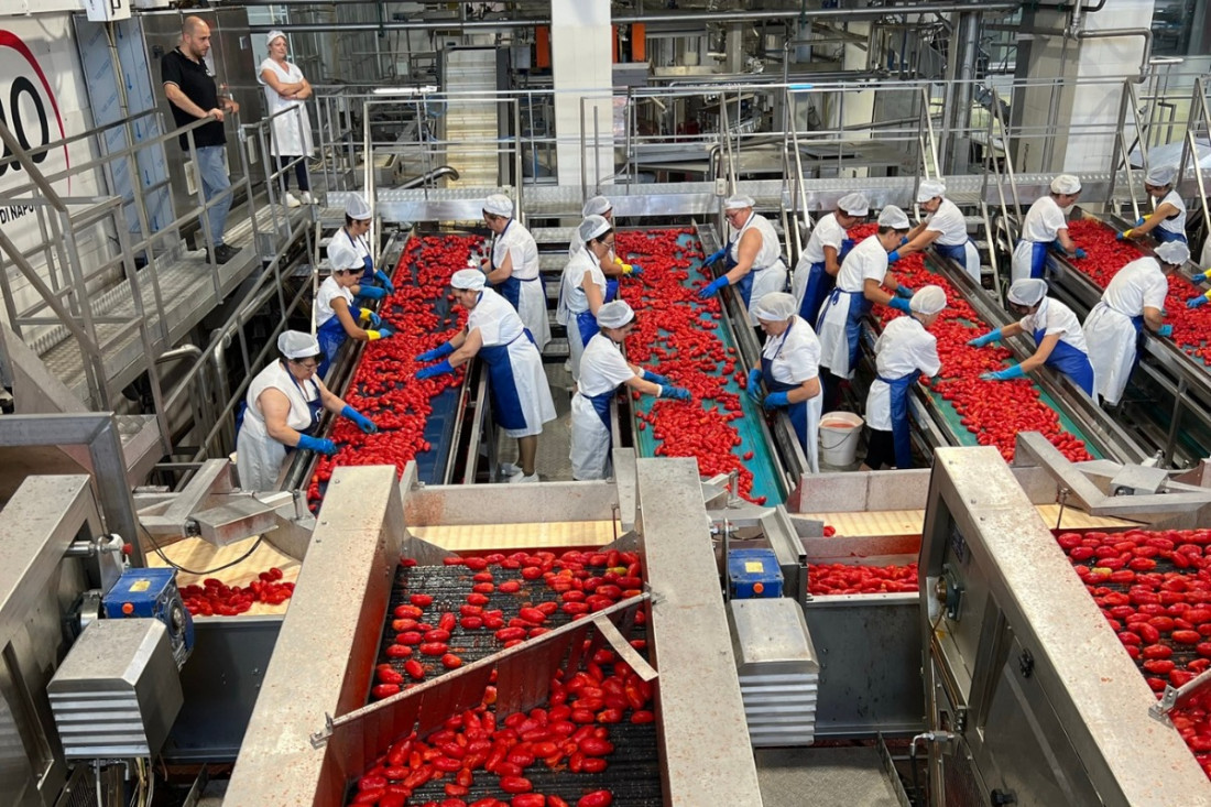  A programação, das 11h30 às 14h, é voltada para a imprensa. 