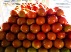 Inflação da comida em casa cai 0,2% em novembro, sexto recuo seguido