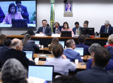 Comiss&atilde;o especial aprovou o projeto por unanimidade

