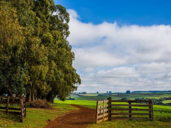 A pesquisa investigou como o avan&ccedil;o de capitais financeiros e estrangeiros influencia o mercado de terras no Brasil