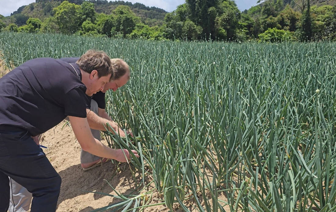 O Safra Garantida entrou em operação no segundo semestre deste ano e totaliza R$ 845,6 mil em contratos 