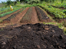 CMN amplia socorro a produtores afetados pelo clima