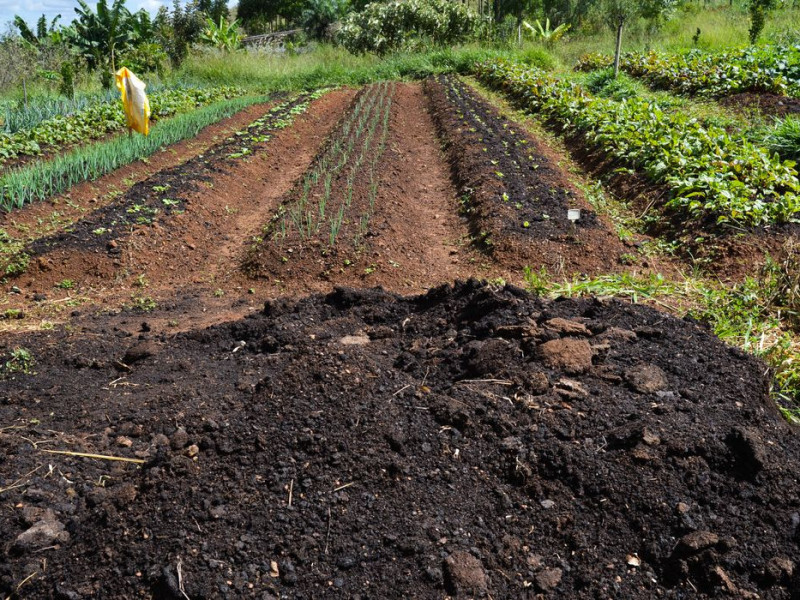 CMN amplia socorro a produtores afetados pelo clima