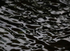 A sele&ccedil;&atilde;o das propostas envolver&aacute; an&aacute;lise de admissibilidade, crit&eacute;rios t&eacute;cnicos de pontua&ccedil;&atilde;o, avalia&ccedil;&atilde;o de equipe e metodologia, incluindo a obrigatoriedade de levantamento em campo em pelo menos um ter&ccedil;o dos munic&iacute;pios