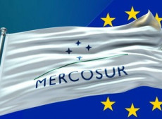 Dados s&atilde;o animadores