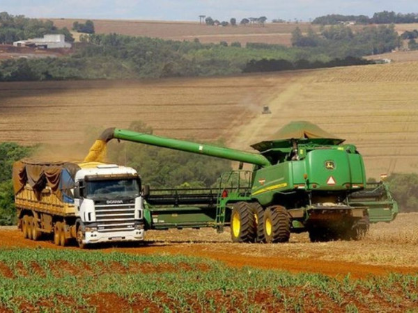 Safra cresce 18,2% em 2025 e produ&ccedil;&atilde;o de gr&atilde;os aumenta mais que o dobro em 13 anos
