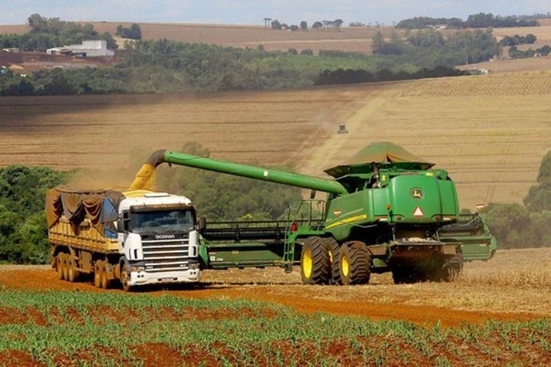 Safra cresce 18,2% em 2025 e produção de grãos aumenta mais que o dobro em 13 anos
