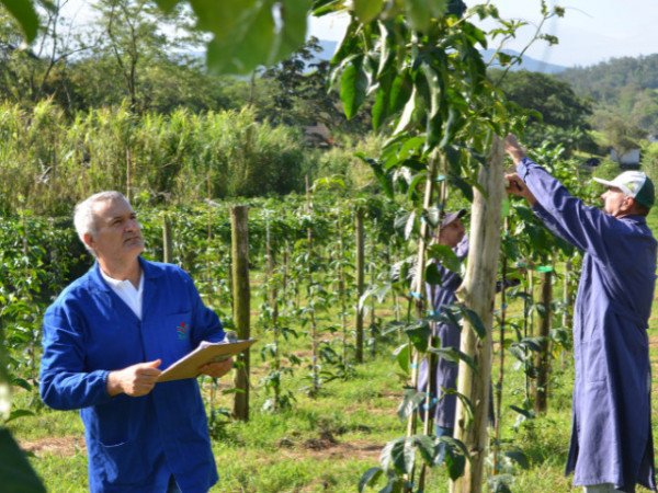 O programa abrange 54 projetos de pesquisa que tem o objetivo de resolver problemas espec&iacute;ficos da agropecu&aacute;ria catarinense 
