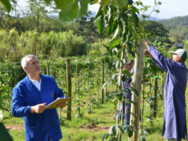O programa abrange 54 projetos de pesquisa que tem o objetivo de resolver problemas espec&iacute;ficos da agropecu&aacute;ria catarinense 
