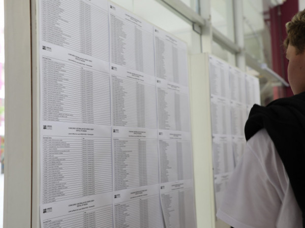 Defensores da lei sustentam que a Constitui&ccedil;&atilde;o garante igualdade perante a lei, sem distin&ccedil;&atilde;o de ra&ccedil;a ou cor