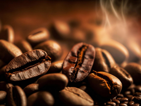 Produ&ccedil;&atilde;o de caf&eacute; no Brasil deve chegar a 66,2 milh&otilde;es de sacas em 2026, com crescimento do ar&aacute;bica e clima favor&aacute;vel impulsionando a safra