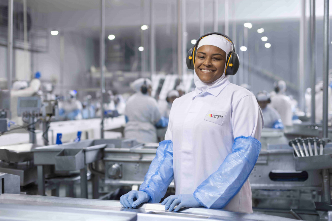  Principais vagas abertas são para operadores de produção nas unidades industriais de suínos, aves e leite.