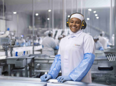  Principais vagas abertas s&atilde;o para operadores de produ&ccedil;&atilde;o nas unidades industriais de su&iacute;nos, aves e leite.