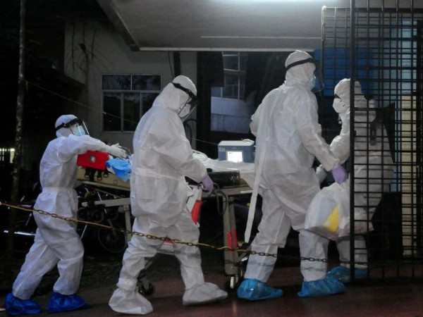 V&iacute;rus Nipah chegou ao Brasil? O carnaval &eacute; motivo de preocupa&ccedil;&atilde;o?
