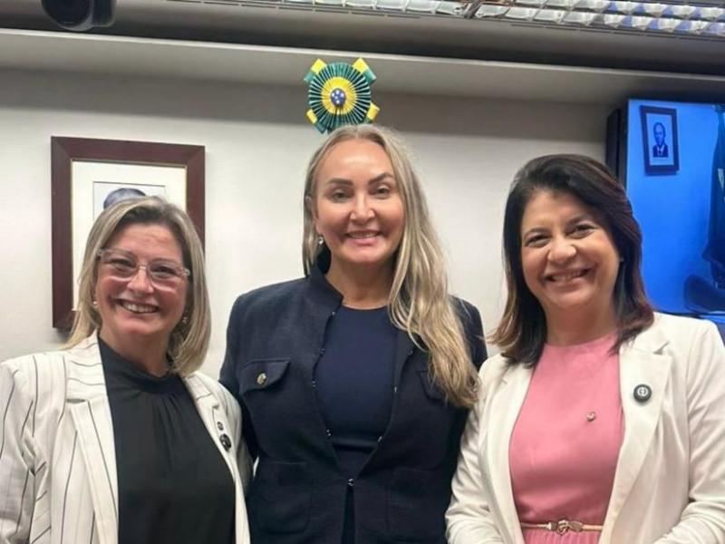 A presidente da Comiss&atilde;o de Turismo da C&acirc;mara dos Deputados, Daniela Reinehr (PL/SC), com a 1&ordf; vice-presidente Ana Paula Le&atilde;o (PP/MG) e a 2&ordf; vice-presidente Carla Dickson (UNI&Atilde;O/RN). A mesa diretora do colegiado tamb&eacute;m &eacute; composta pelo 3&ordm; vice-presidente, deputado Bibo Nunes (PL/RS).