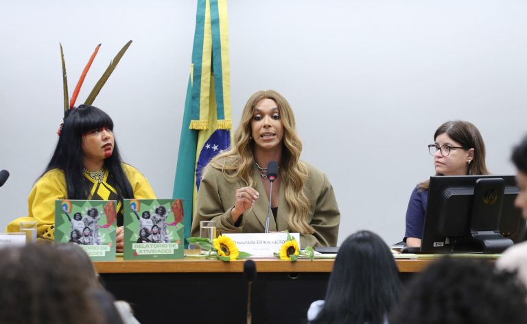 Deputadas de oposi&ccedil;&atilde;o lamentaram a elei&ccedil;&atilde;o de Erika Hilton e afirmaram que a comiss&atilde;o deveria ser presidida por uma mulher 
