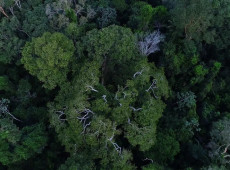 Previd&ecirc;ncia e BNDES querem incluir ESG na gest&atilde;o de fundos de pens&atilde;o