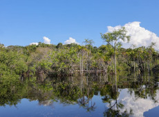 Governo levantou R$ 179 bi desde 2023 para transi&ccedil;&atilde;o ecol&oacute;gica