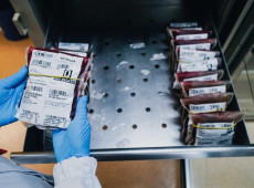 Hemosc destaca necessidade dos sangues A e O ap&oacute;s queda nas doa&ccedil;&otilde;es
