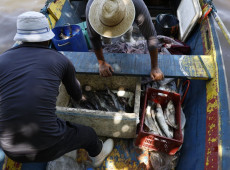 Pescadores beneficiados pelo Seguro-Defeso recebem 6&ordm; lote nesta ter&ccedil;a