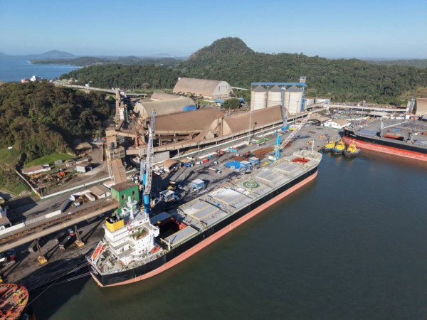 Os dados foram divulgados recentemente pela Companhia Nacional de Abastecimento (Conab), que elaborou um balan&ccedil;o sobre o com&eacute;rcio exterior brasileiro. 