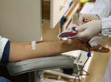 Alesc vota pacote sobre servidores e incentivos fiscais em SC

