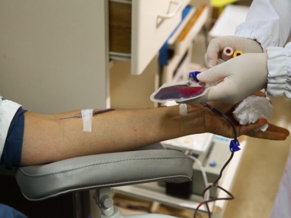 Alesc vota pacote sobre servidores e incentivos fiscais em SC

