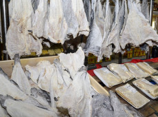 Cesta de produtos de P&aacute;scoa cai 5,73% este ano