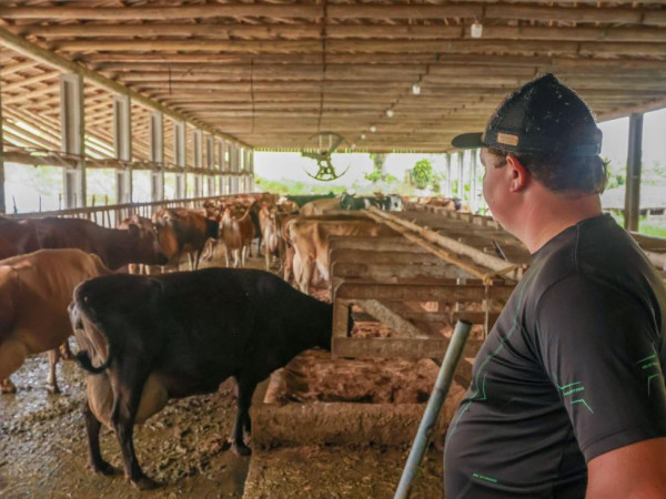 O programa oferece prazo total de 24 meses, sendo 12 meses de car&ecirc;ncia e 12 meses para pagamento.