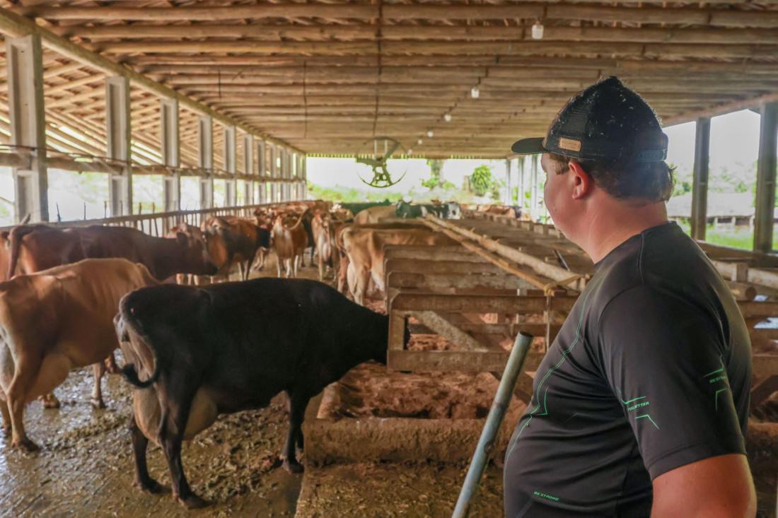 O programa oferece prazo total de 24 meses, sendo 12 meses de carência e 12 meses para pagamento.