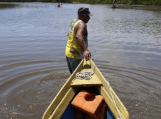 C&acirc;mara derruba mudan&ccedil;as do Senado na MP do Seguro-Defeso